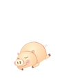 캰 ǿ